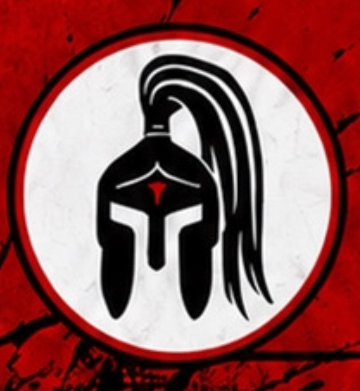 Trojanettes 8U logo