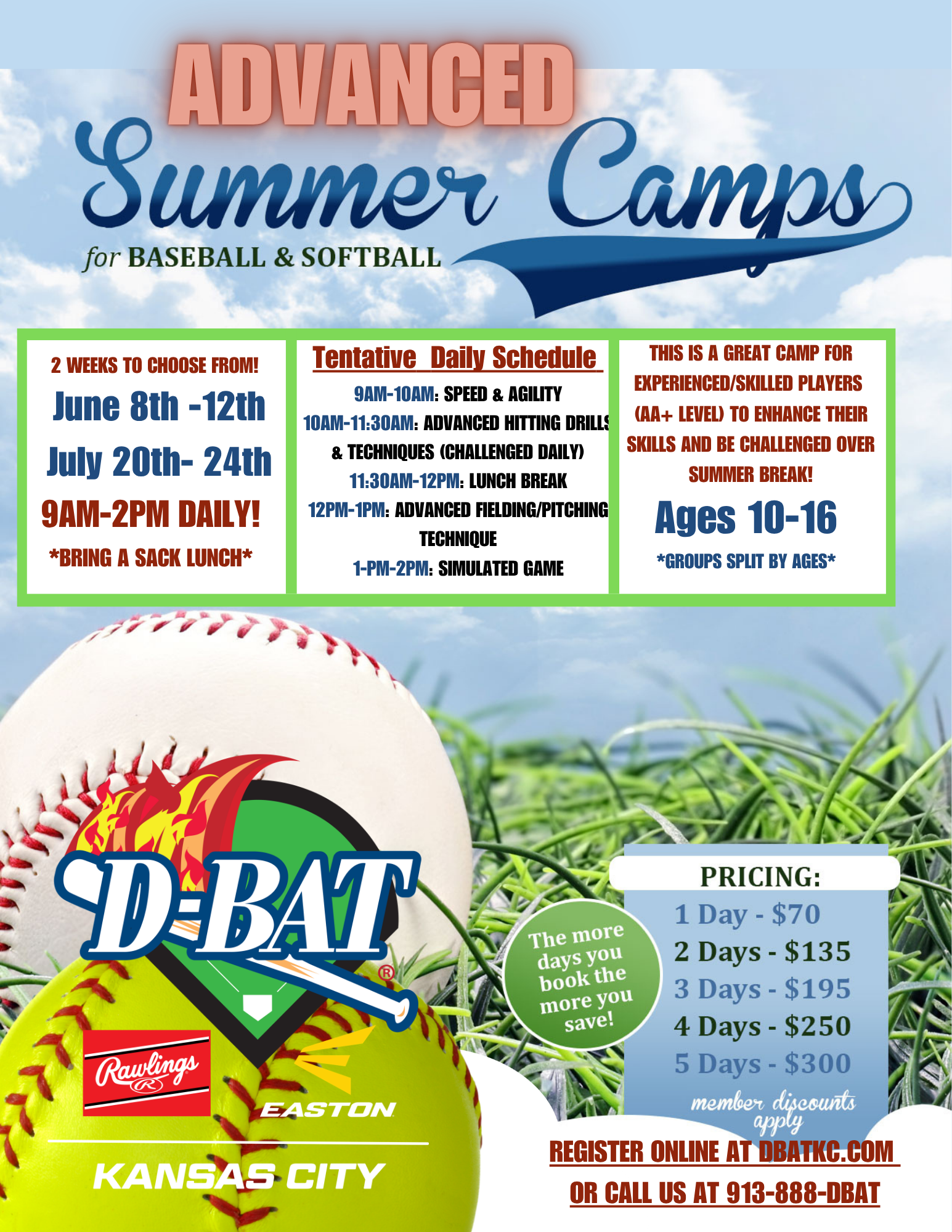 D-BAT Advanced Summer Camp flyer
