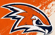 Hawkettes 10U logo