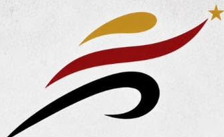 Evolve Academy 14U logo