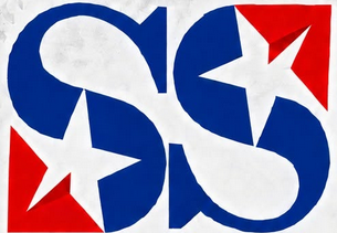 Sandlot Stars 12U logo